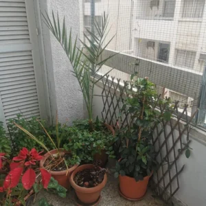 3 Bedroom Apartment for Sale in Larnaca District