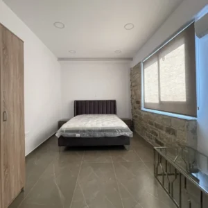1 Bedroom Apartment for Rent in Limassol District