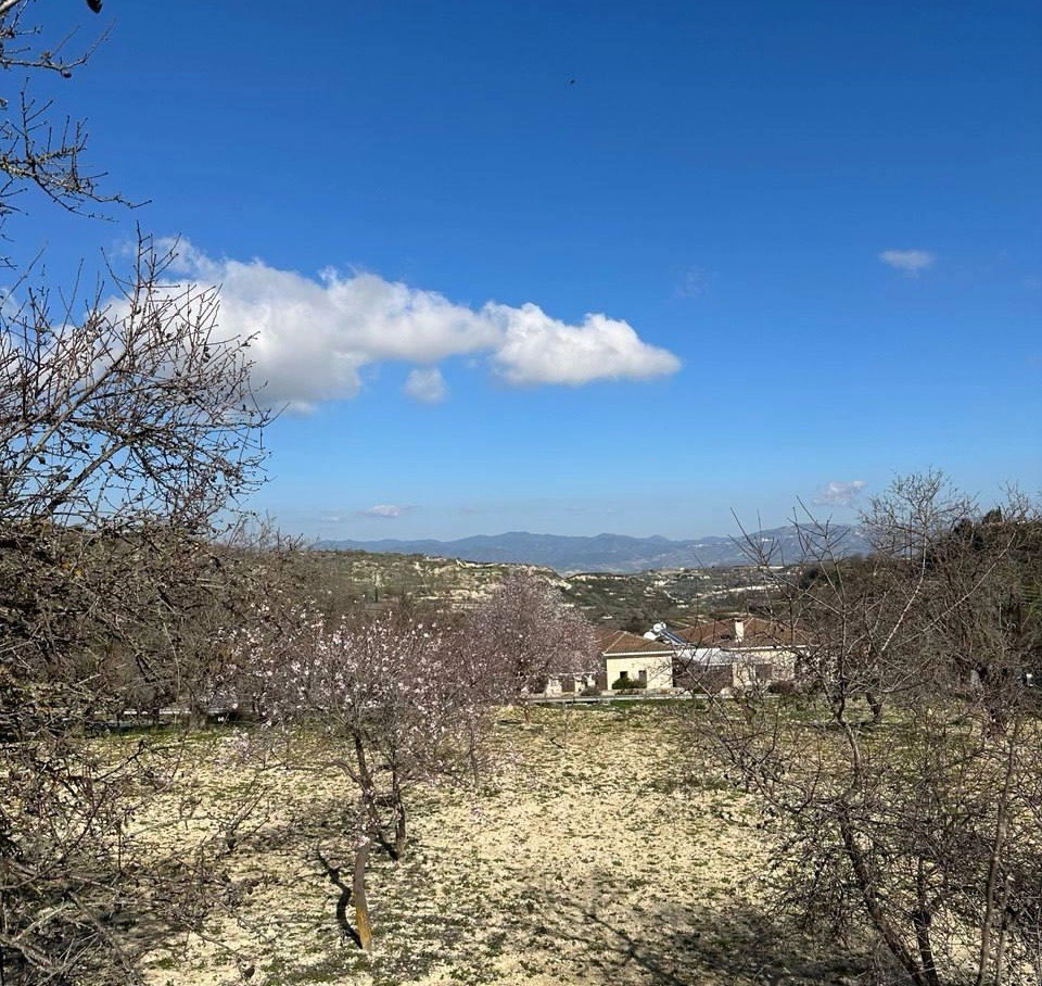 for Sale in Tsada, Paphos District