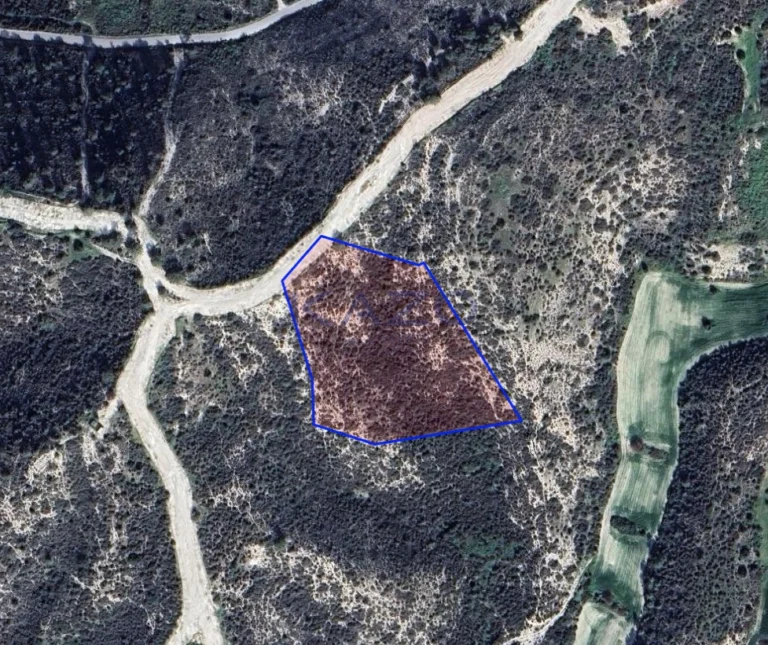 12,710m² Plot for Sale in Tochni, Larnaca District