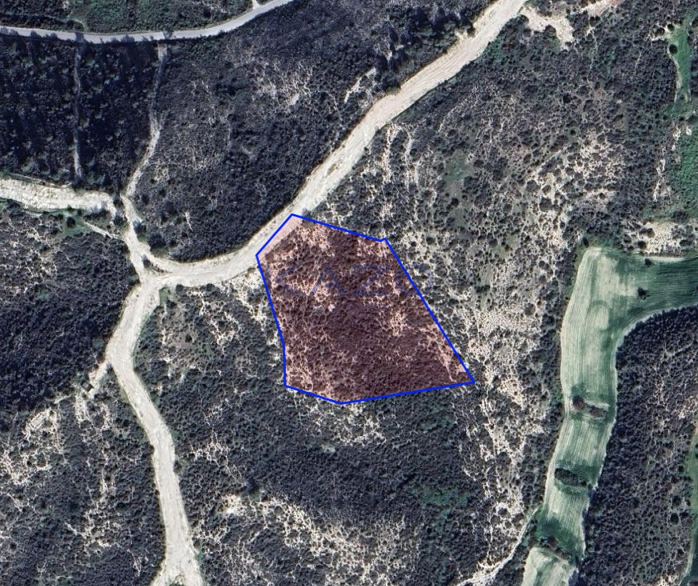 12,710m² Plot for Sale in Tochni, Larnaca District