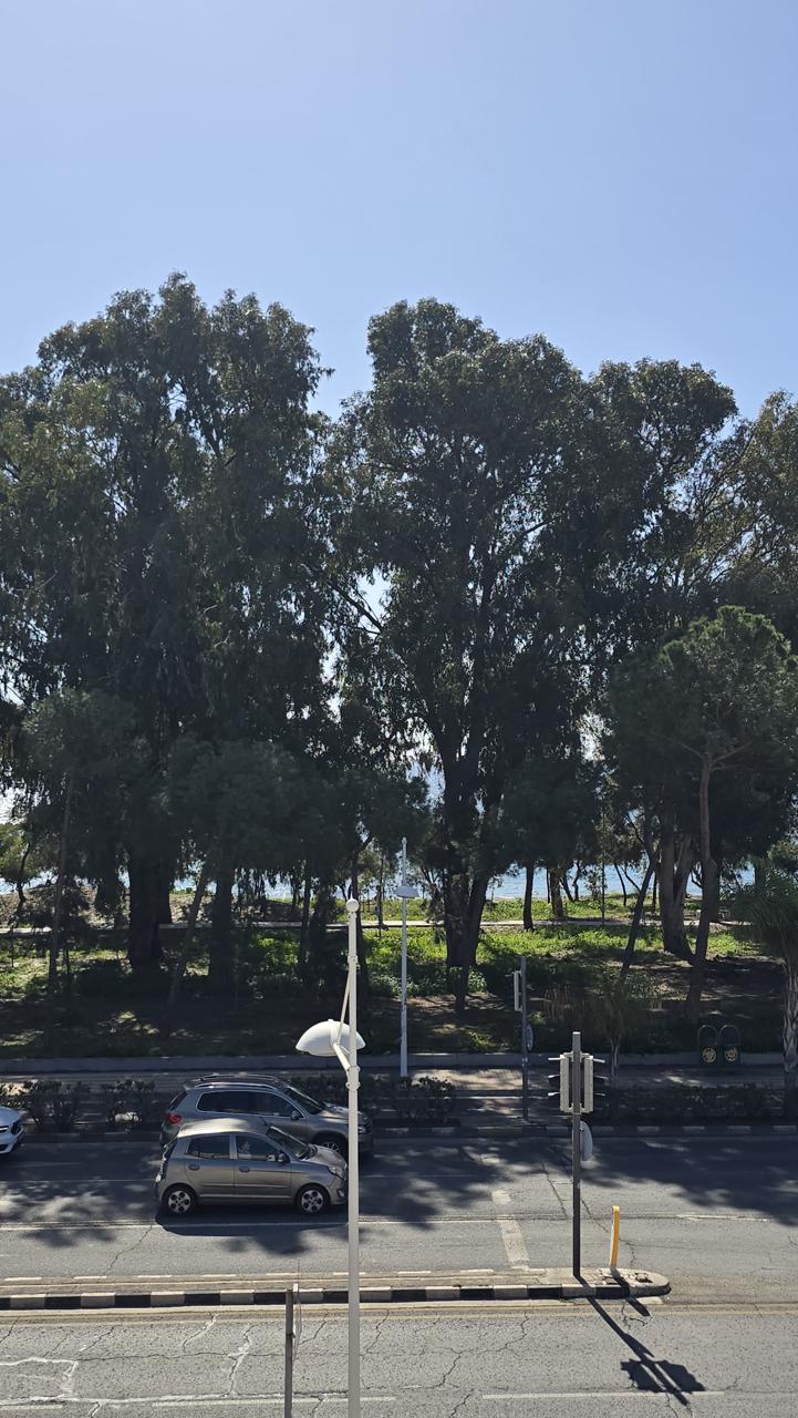 Limassol