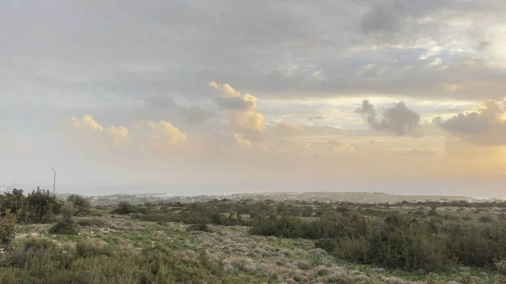 2,907m² Plot for Sale in Pegeia, Paphos District
