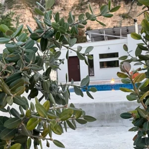 3 Bedroom House for Rent in Paphos District