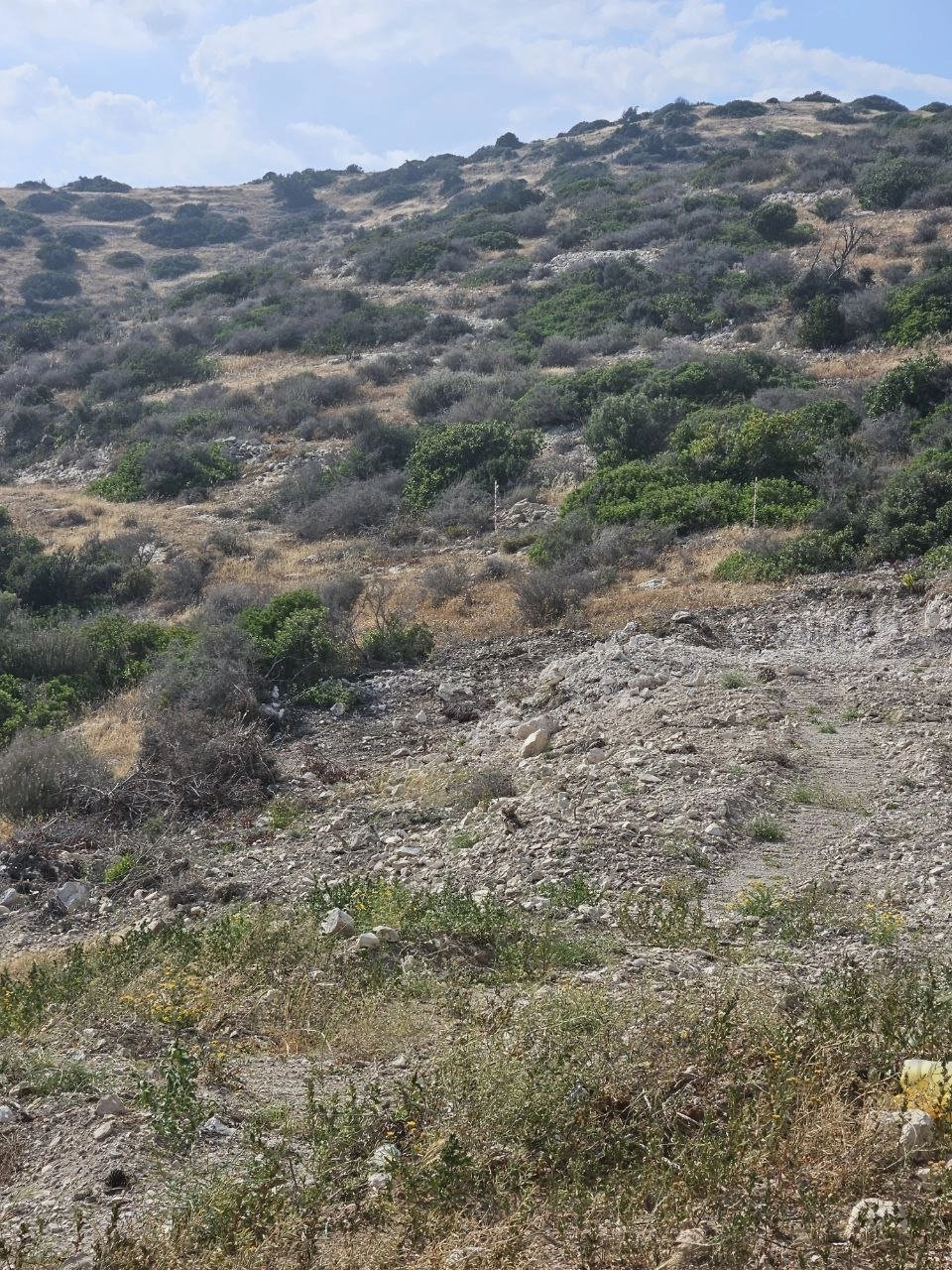 2,064m² Plot for Sale in Pyrgos Lemesou, Limassol District