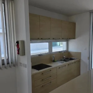 4 Bedroom Apartment for Rent in Engomi, Nicosia District