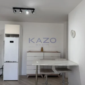 1 Bedroom Apartment for Rent in Limassol District