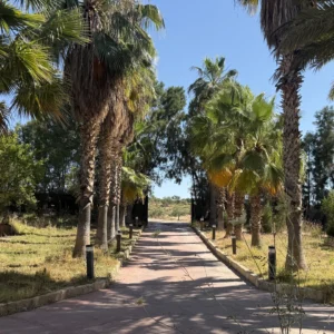 4 Bedroom House for Rent in Kato Polemidia, Limassol District