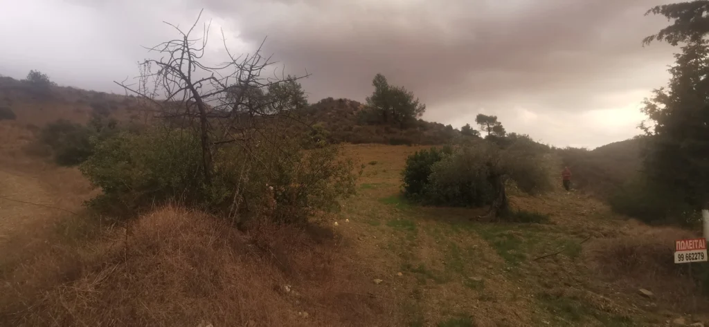 6,709m² Plot for Sale in Pyrgos Lemesou, Limassol District