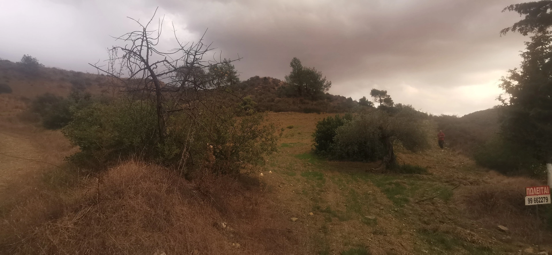 6,709m² Plot for Sale in Pyrgos Lemesou, Limassol District