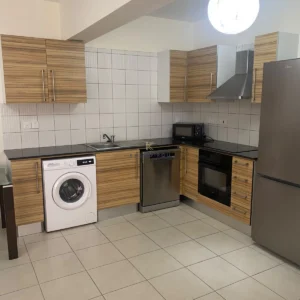 2 Bedroom Apartment for Rent in Tersefanou, Larnaca District