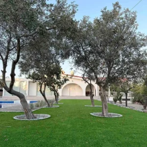 4 Bedroom House for Rent in Moni, Limassol District