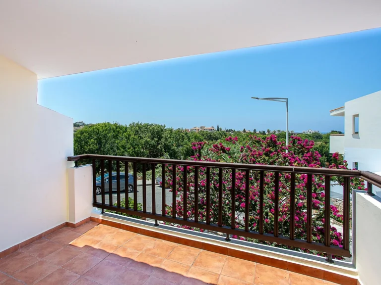Average Price of a House in Paphos