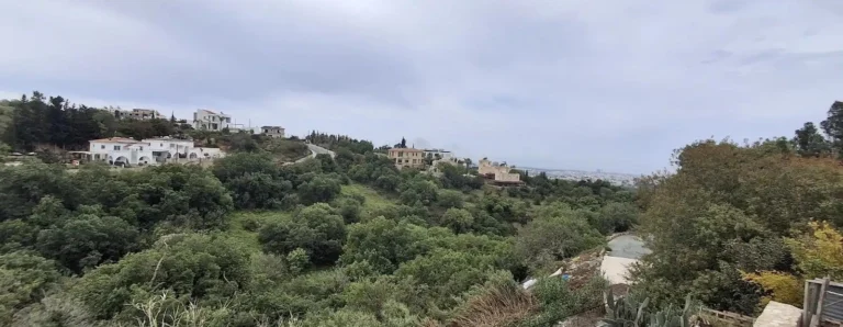 Average Price of a House in Paphos