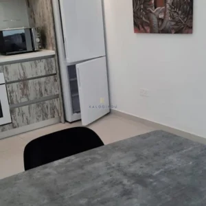 2 Bedroom Apartment for Rent in Larnaca District