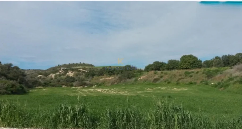 11,372m² Plot for Sale in Alaminos, Larnaca District