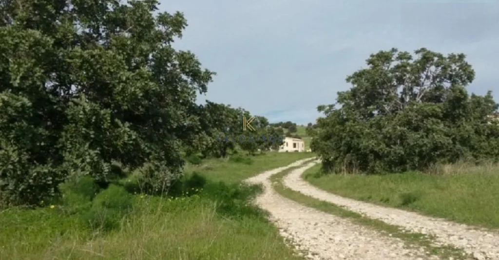 11,372m² Plot for Sale in Alaminos, Larnaca District