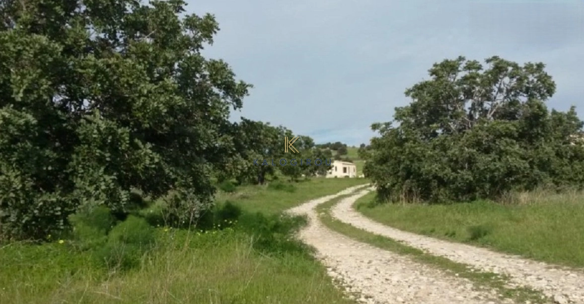 11,372m² Plot for Sale in Alaminos, Larnaca District