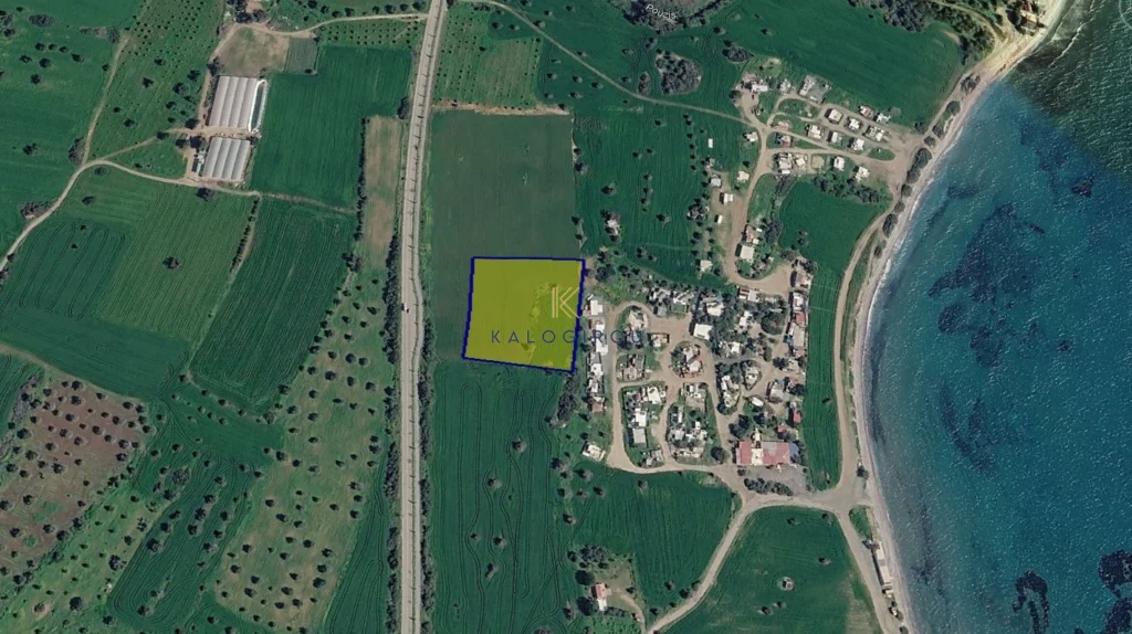 for Sale in Mazotos, Larnaca District