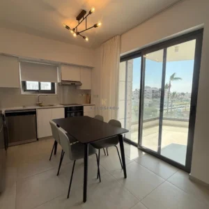2 Bedroom Apartment for Rent in Larnaca District