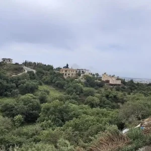 3 Bedroom House for Rent in Mesogi, Paphos District