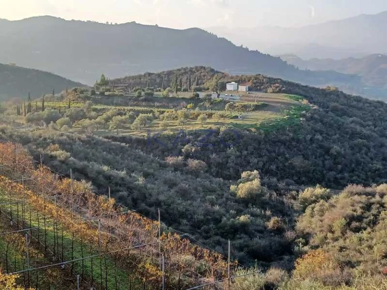 8,383m² Plot for Sale in Kellaki, Limassol District