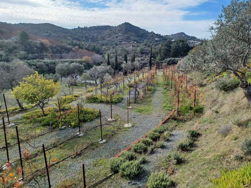 8,383m² Plot for Sale in Kellaki, Limassol District