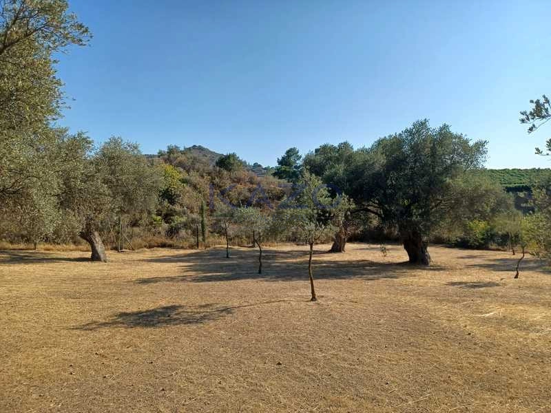 8,383m² Plot for Sale in Kellaki, Limassol District