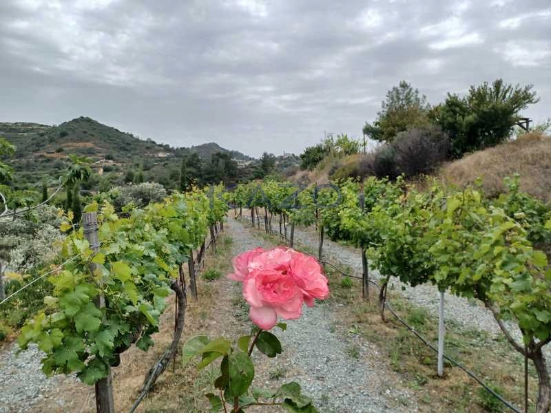 8,383m² Plot for Sale in Kellaki, Limassol District