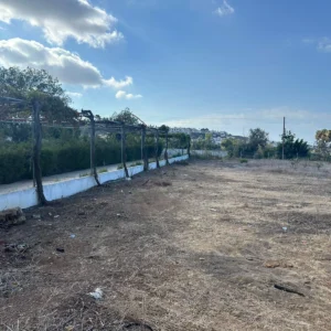 600m² House for Sale in Chlorakas, Paphos District