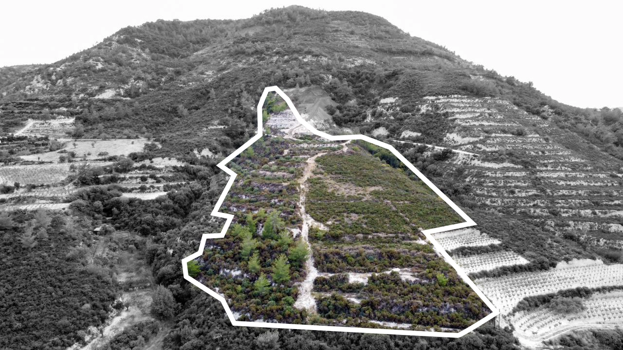 25,284m² Plot for Sale in Agios Mamas, Limassol District