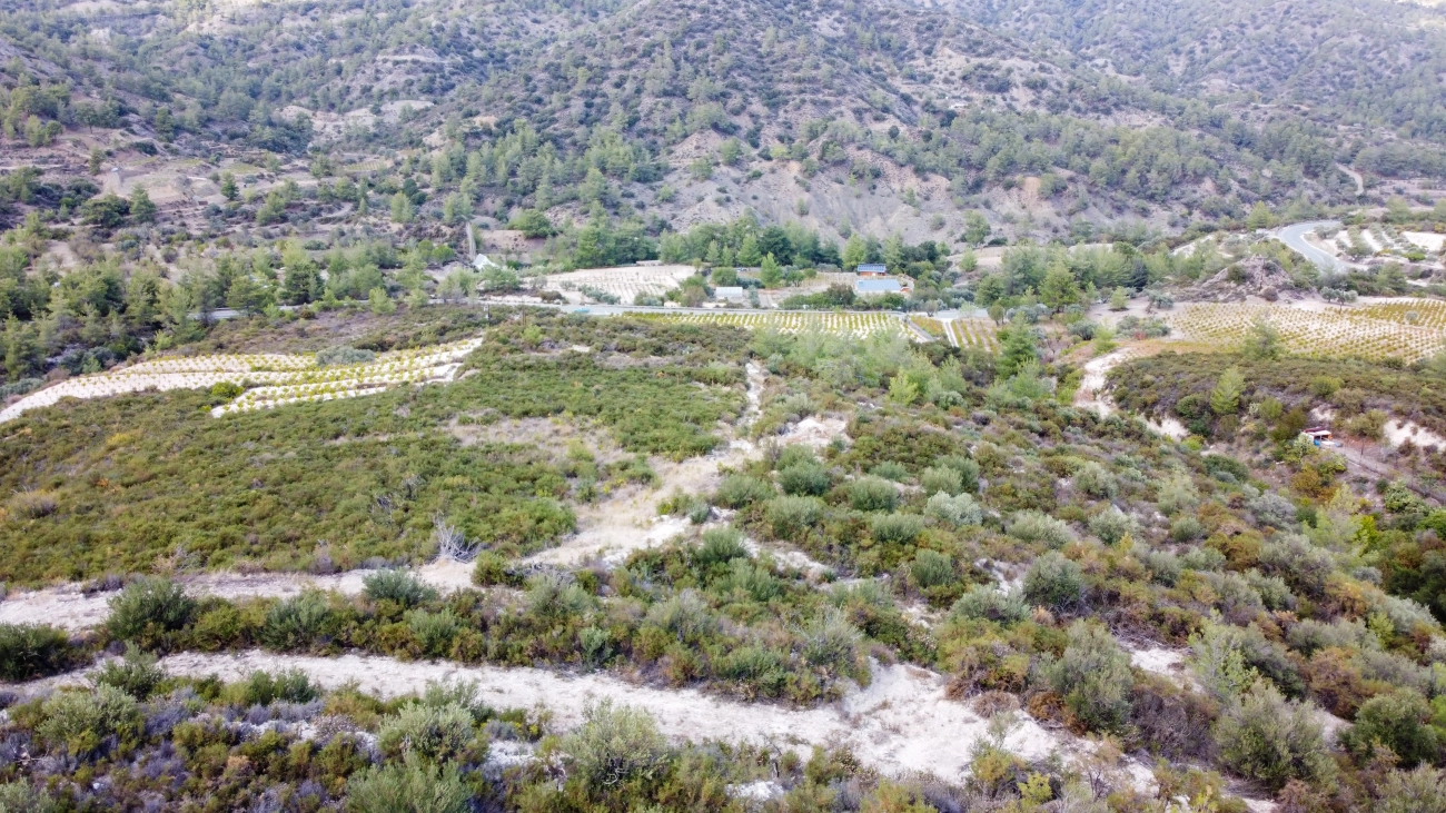 25,284m² Plot for Sale in Agios Mamas, Limassol District