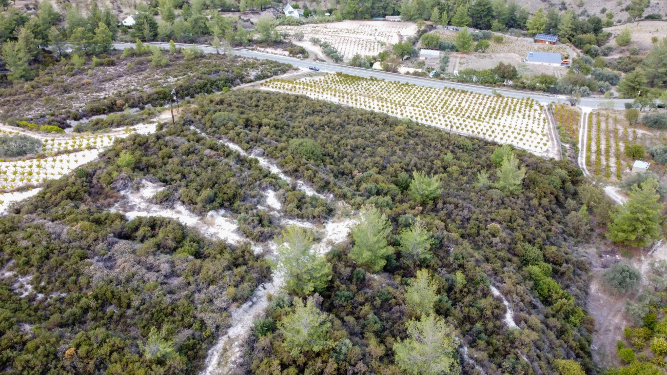 25,284m² Plot for Sale in Agios Mamas, Limassol District