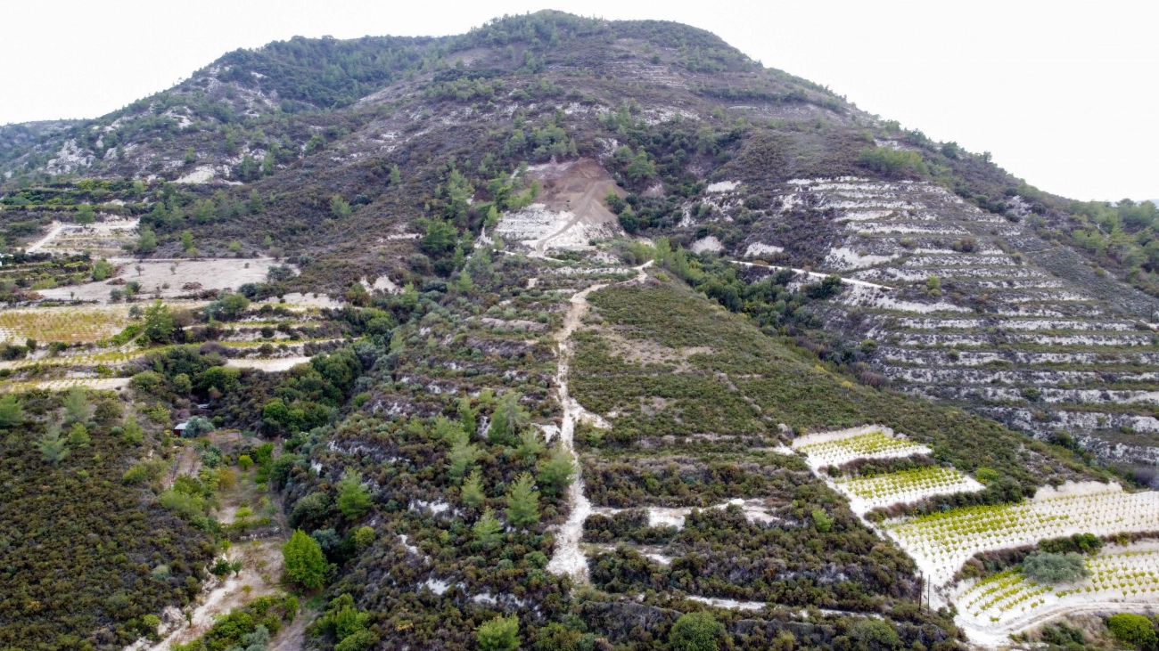 25,284m² Plot for Sale in Agios Mamas, Limassol District