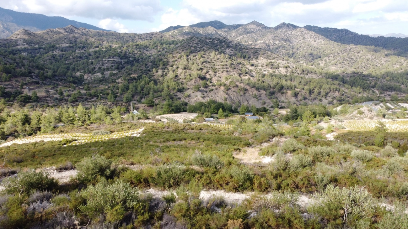25,284m² Plot for Sale in Agios Mamas, Limassol District