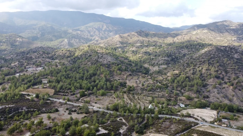 25,284m² Plot for Sale in Agios Mamas, Limassol District
