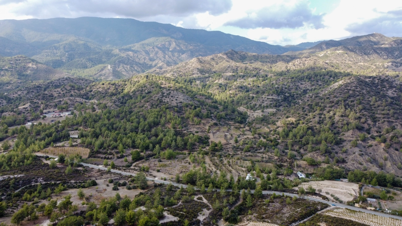 25,284m² Plot for Sale in Agios Mamas, Limassol District
