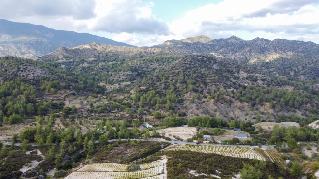 25,284m² Plot for Sale in Agios Mamas, Limassol District