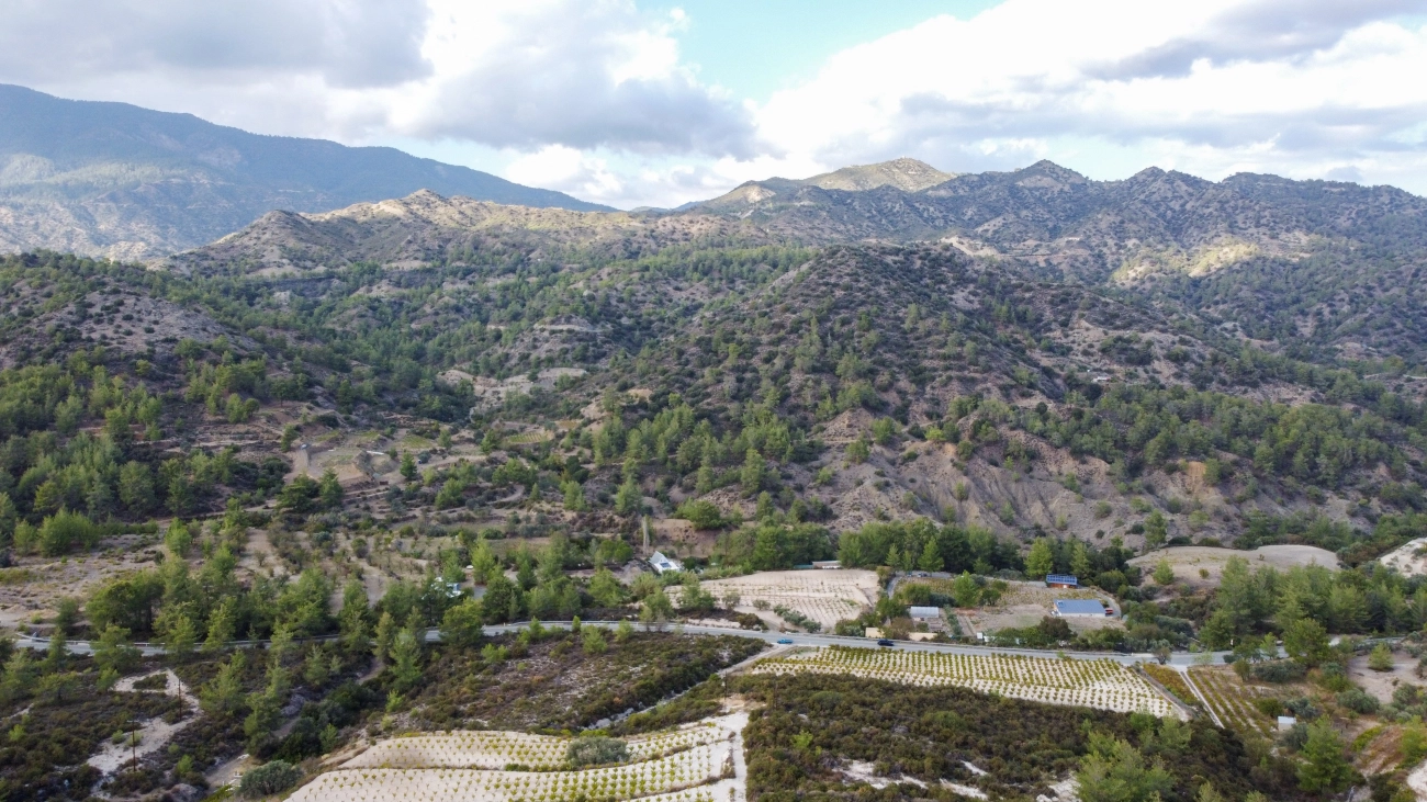25,284m² Plot for Sale in Agios Mamas, Limassol District