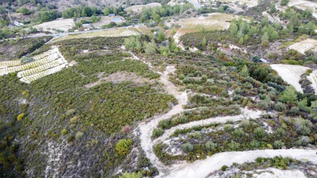 25,284m² Plot for Sale in Agios Mamas, Limassol District