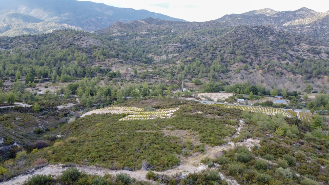 25,284m² Plot for Sale in Agios Mamas, Limassol District