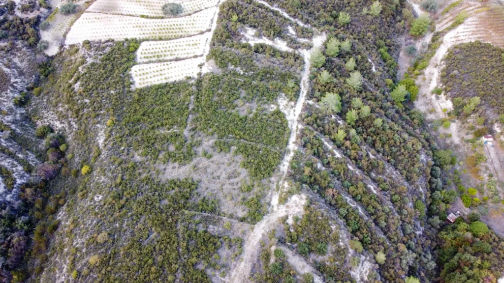 25,284m² Plot for Sale in Agios Mamas, Limassol District
