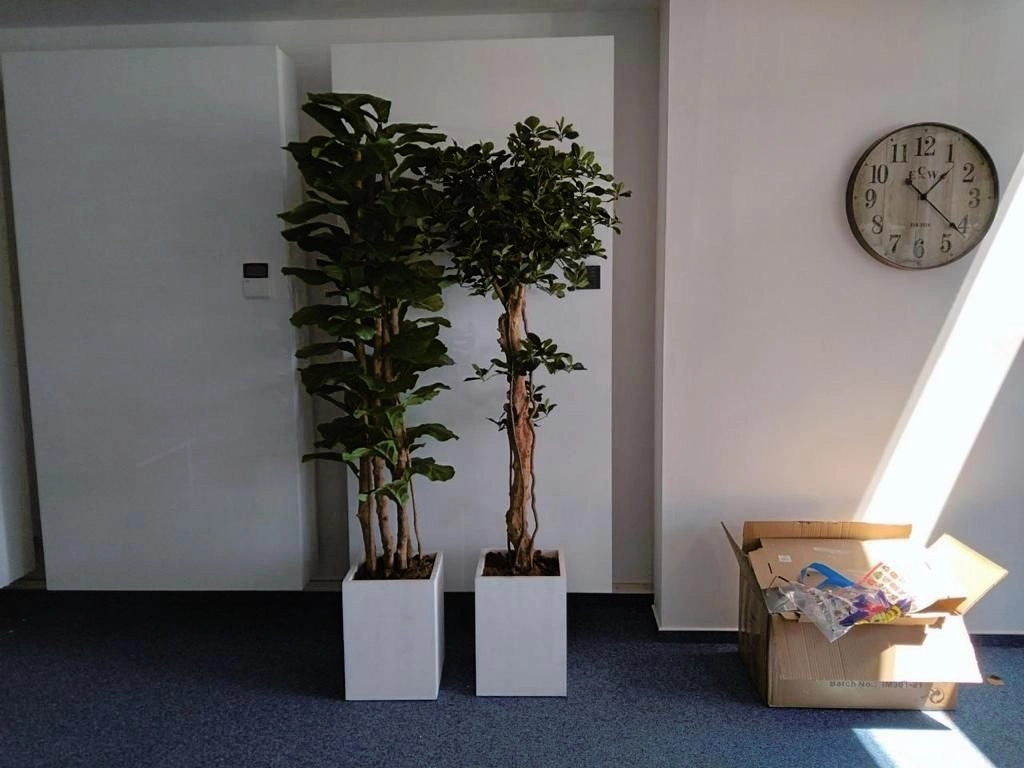 100m² Office for Rent in Larnaca – Agios Nikolaos, Limassol District