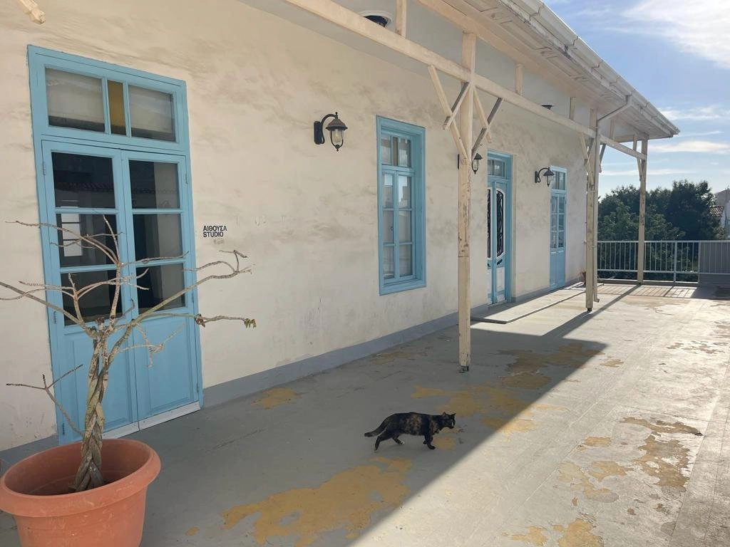 800m² Building for Sale in Limassol