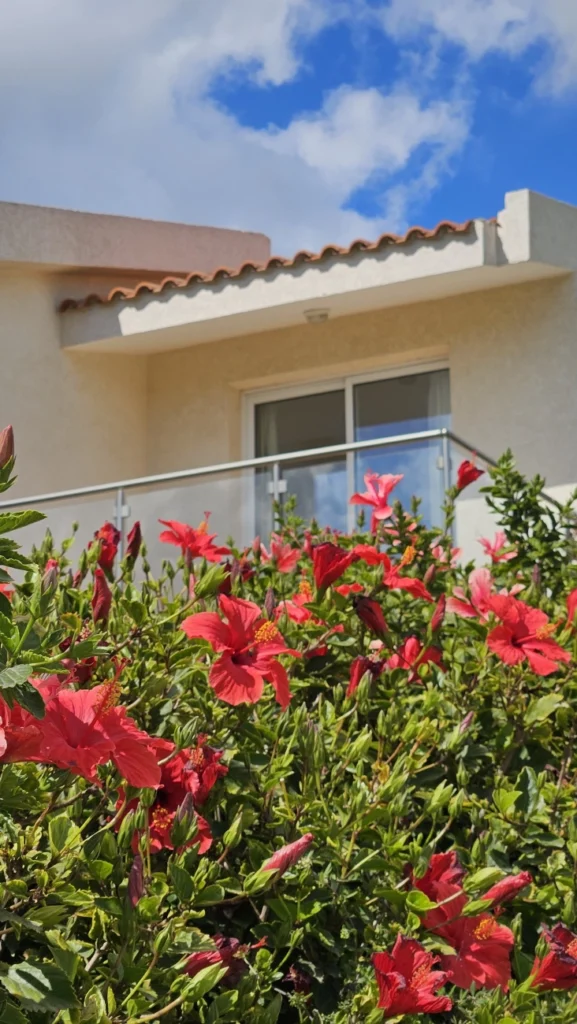 3 Bedroom House for Sale in Pegeia, Paphos District