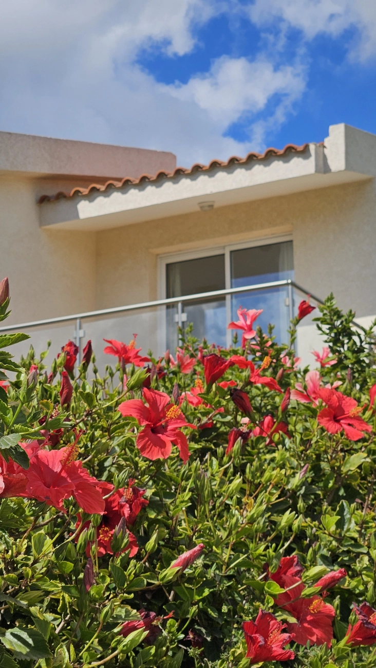 3 Bedroom House for Sale in Pegeia, Paphos District