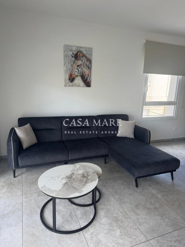 Cheap Apartments for Rent Nicosia up to 1000 euro