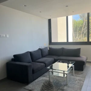 1 Bedroom Apartment for Rent in Larnaca District