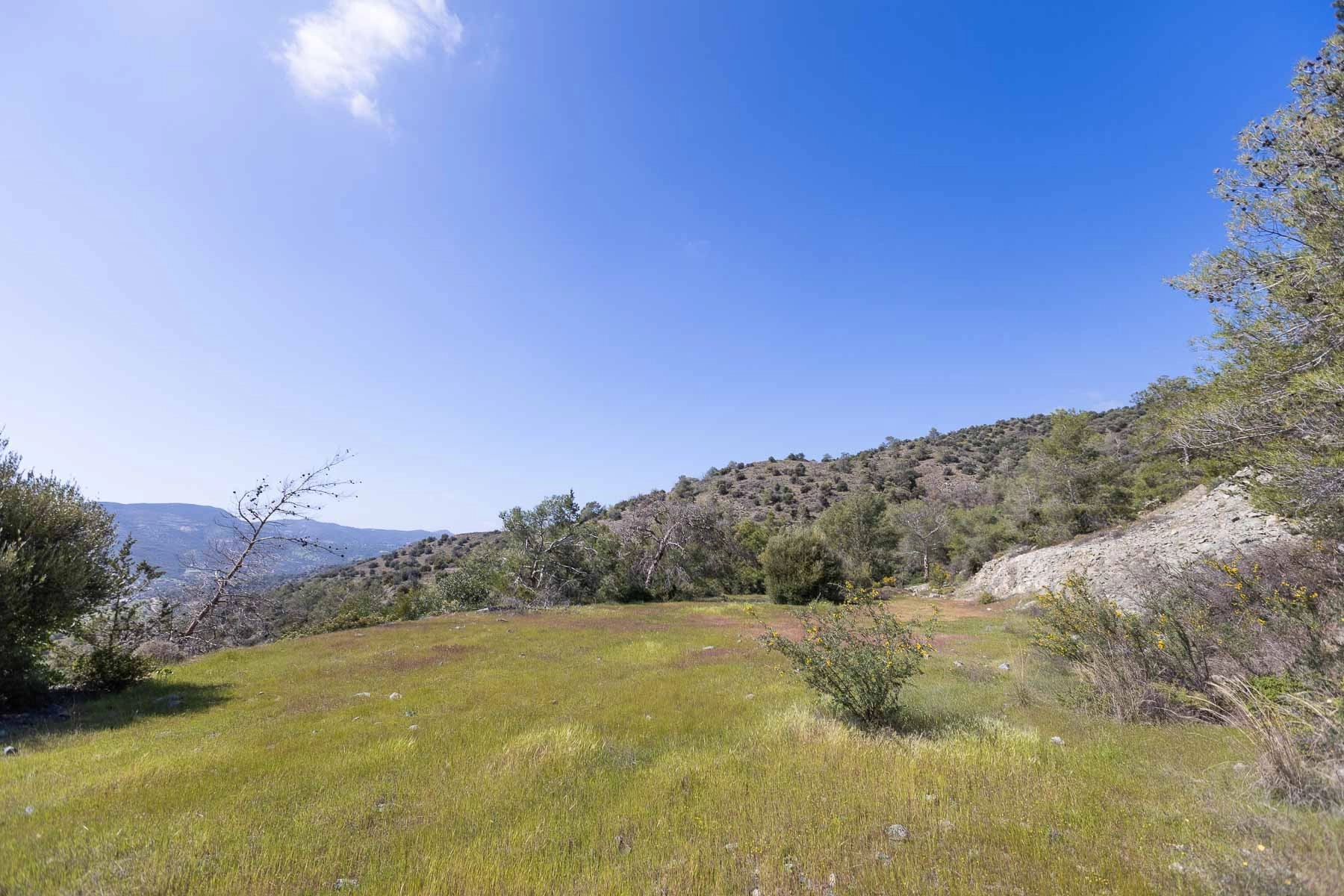 6,355m² Plot for Sale in Foinikaria, Limassol District