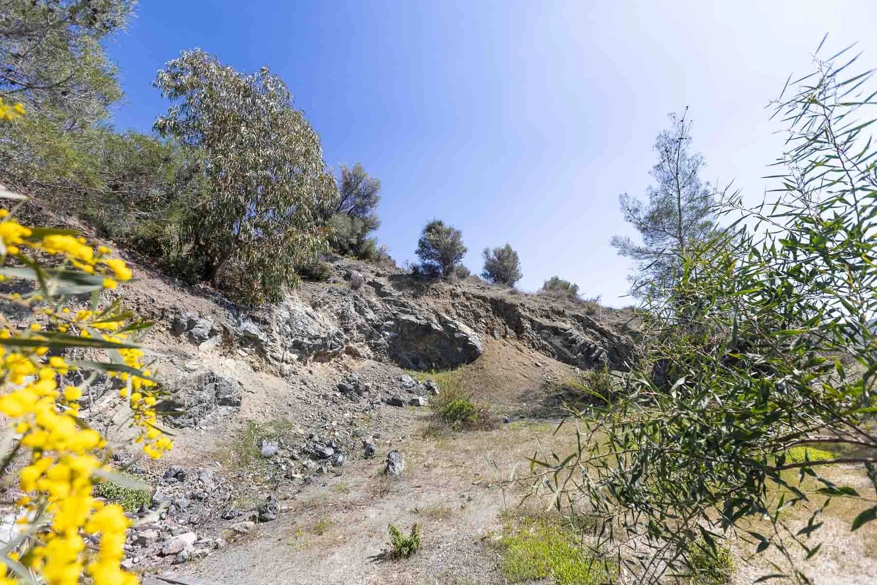 6,355m² Plot for Sale in Foinikaria, Limassol District